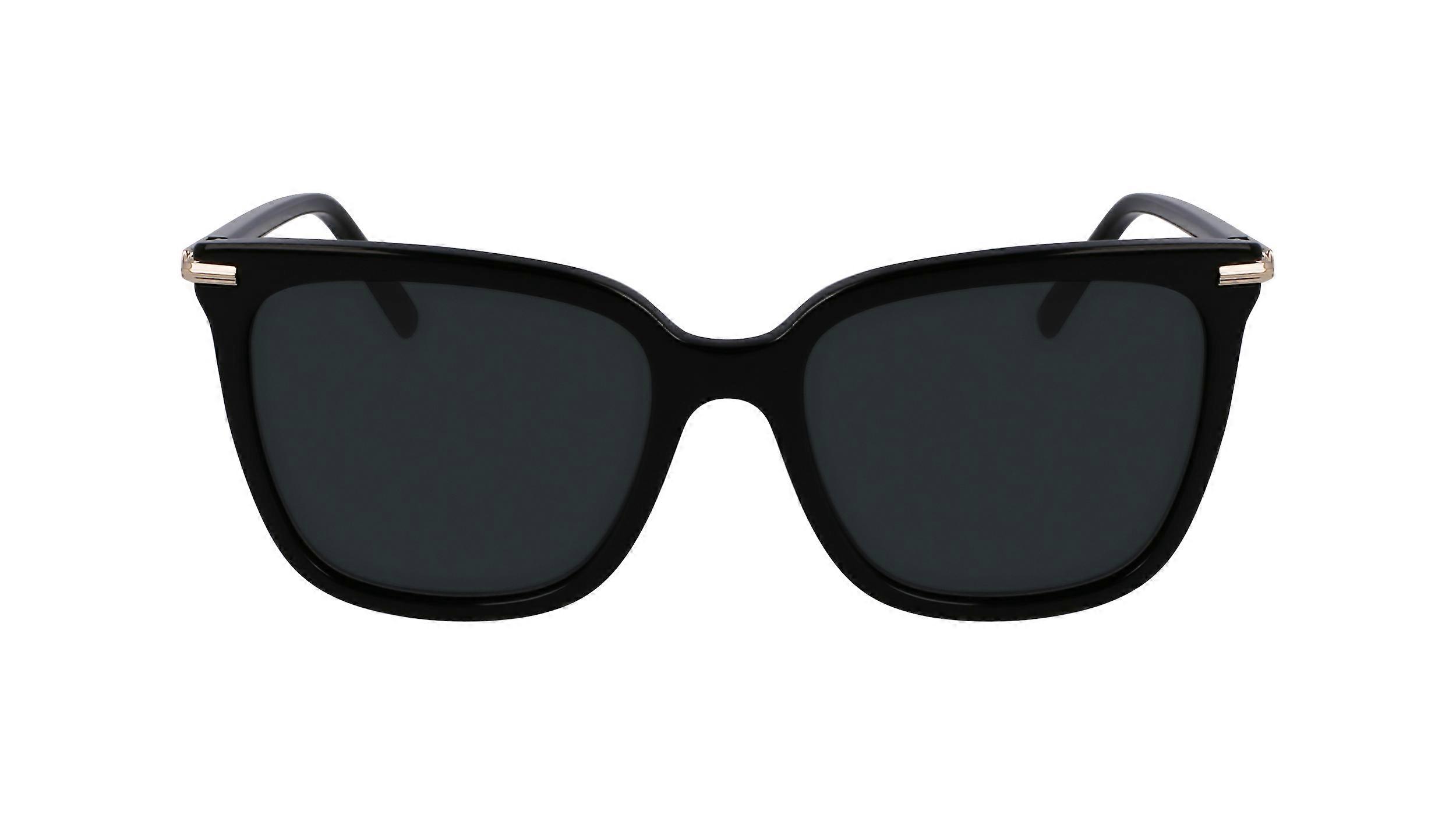 Sunglasses FERRAGAMO SF2037S 001 BLACK 56/18/145 FEMALE 