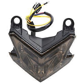 Motorcycle LED Tail Light Integrated Rear Fender Fit for KAWASAKI KCWDZ800/ZX6R 1315(Tawny )