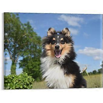 Quebra-cabeça Shetland Sheepdog, cachorro de estimação, estilo rústico moderno VV546