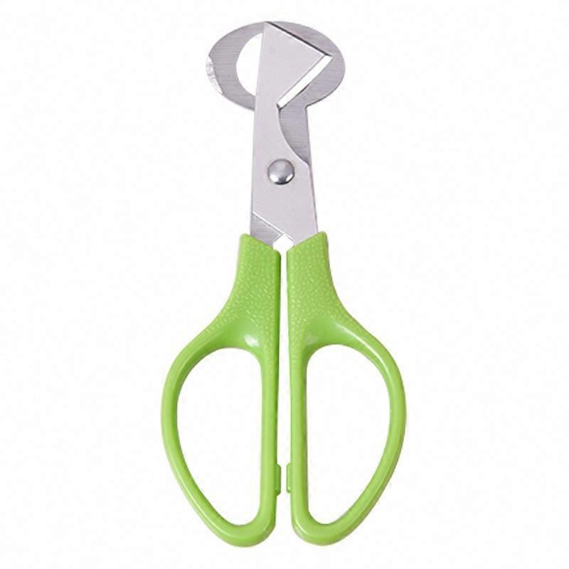 Open Quail Eggshells, Stainless Steel Egg Shell Cutting Scissors, 10 PCS