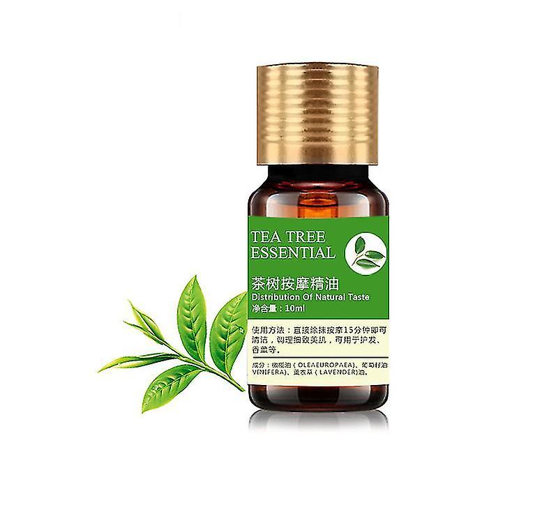 Tea Tree Natural Plant Extract Essential Oils For Aromatherapy Diffusers Body Stress