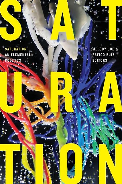 Saturation Paperback