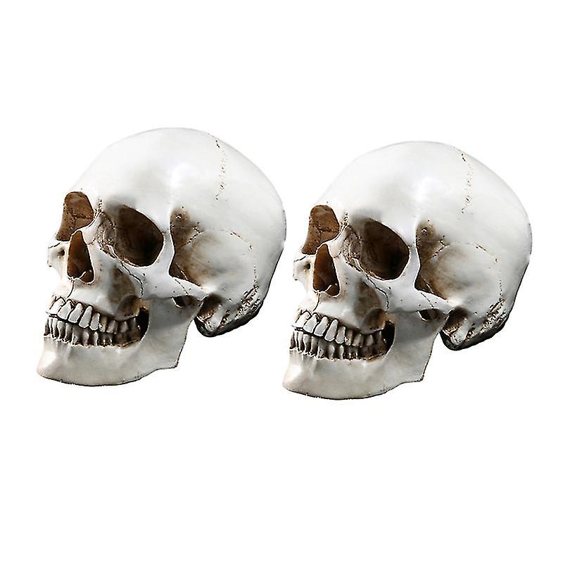 2pcs Human Skull Model For Halloween Decorations