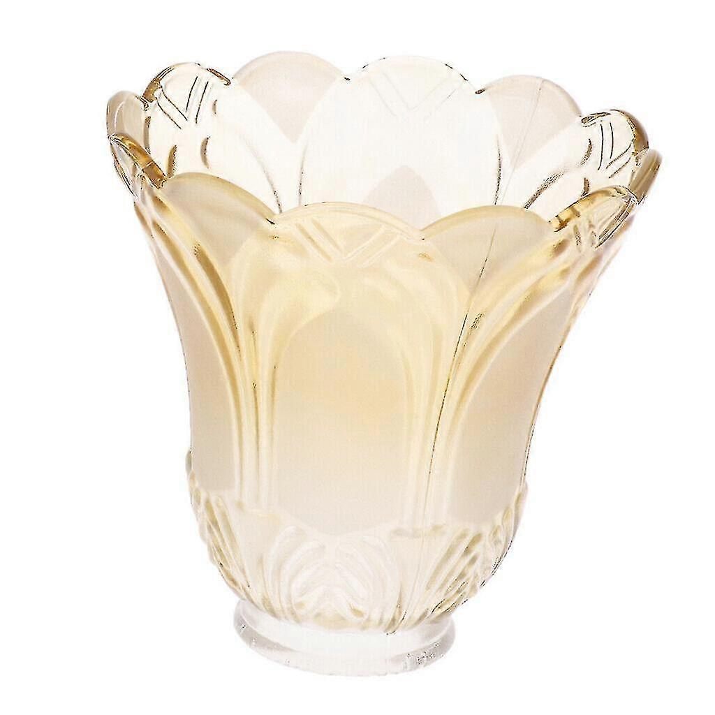 Ceiling Fan Chandelier Frosted and Clear Glass Light Lamp Shade Replacement CVR
