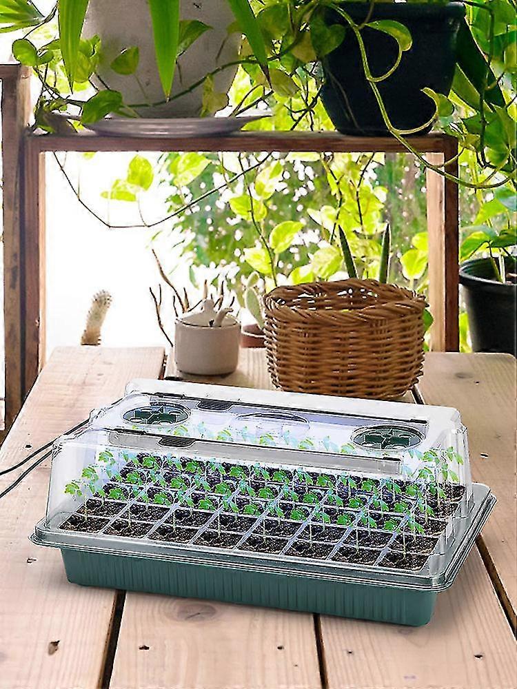 Seed Starter Tray Kit With Grow Lights - 80 Cells Grids For Garden Plant Growing And Seed Germination