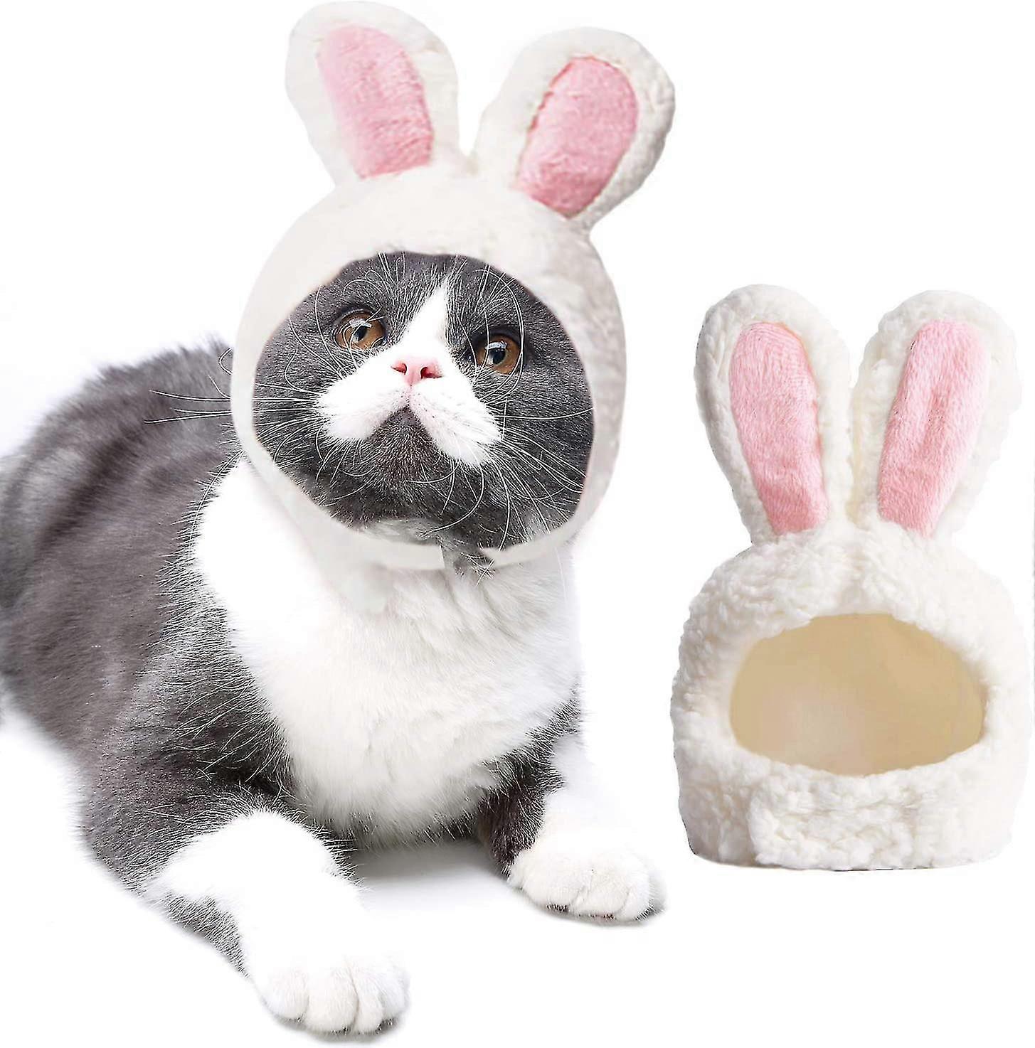 Katze Osterhase Kostüm