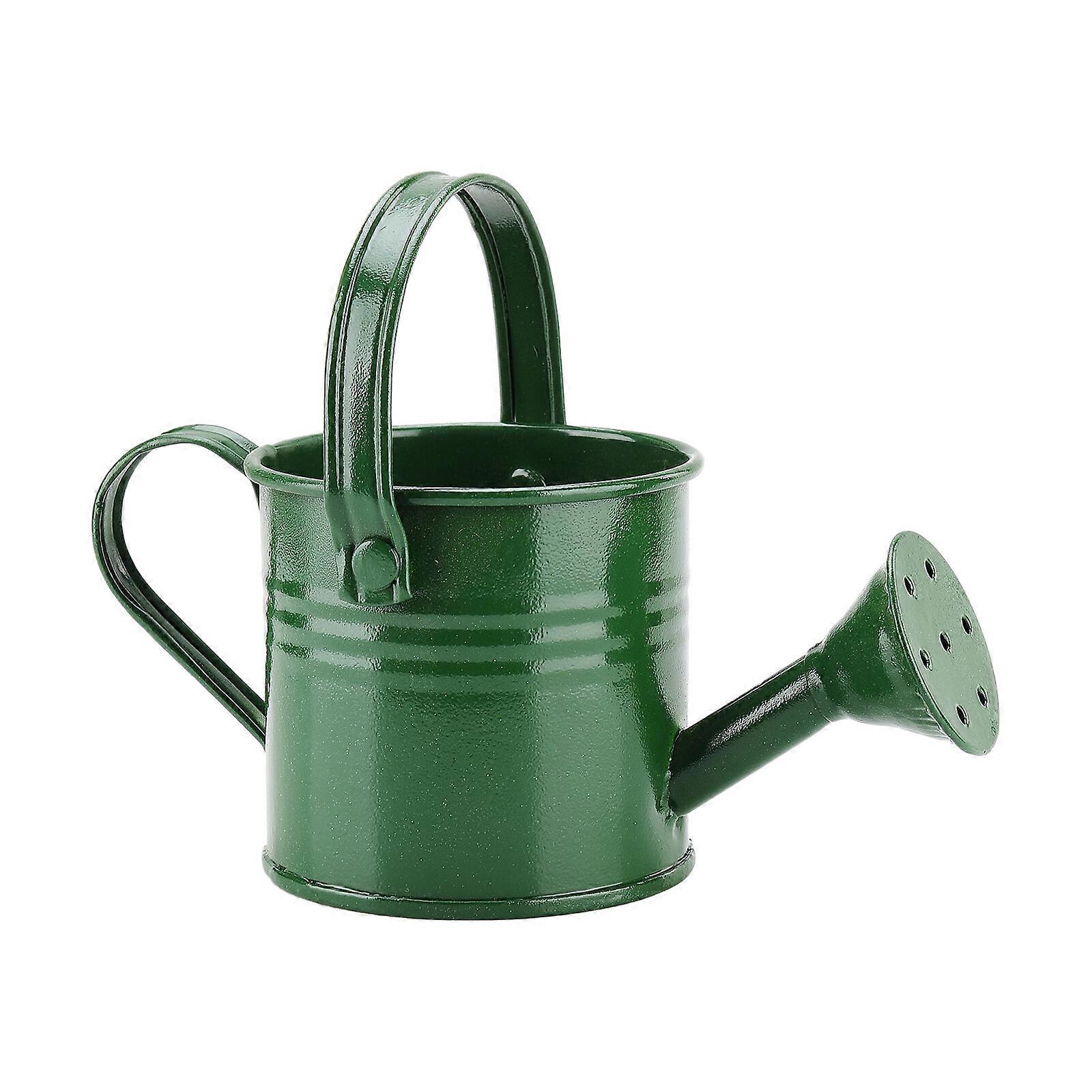 Green Mini Watering Can, Portable Watering Can with Handle