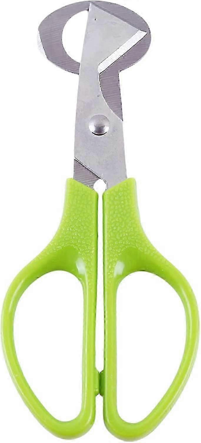 Stainless Steel Egg Scissors Quail Egg Open Tool Kitchen Egg Shears Tool(green) (5-e-0)