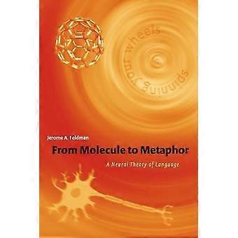 From Molecule to Metaphor