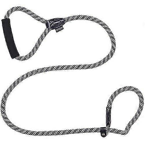 Strong Braided Slip Dog Leash