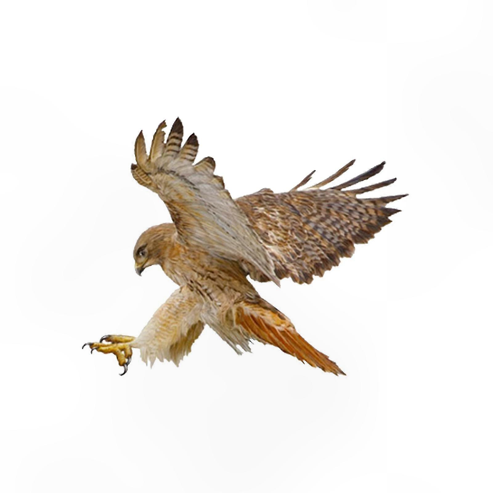 Reflective Waterproof Car Decals for Windows, Laptops, Skateboards