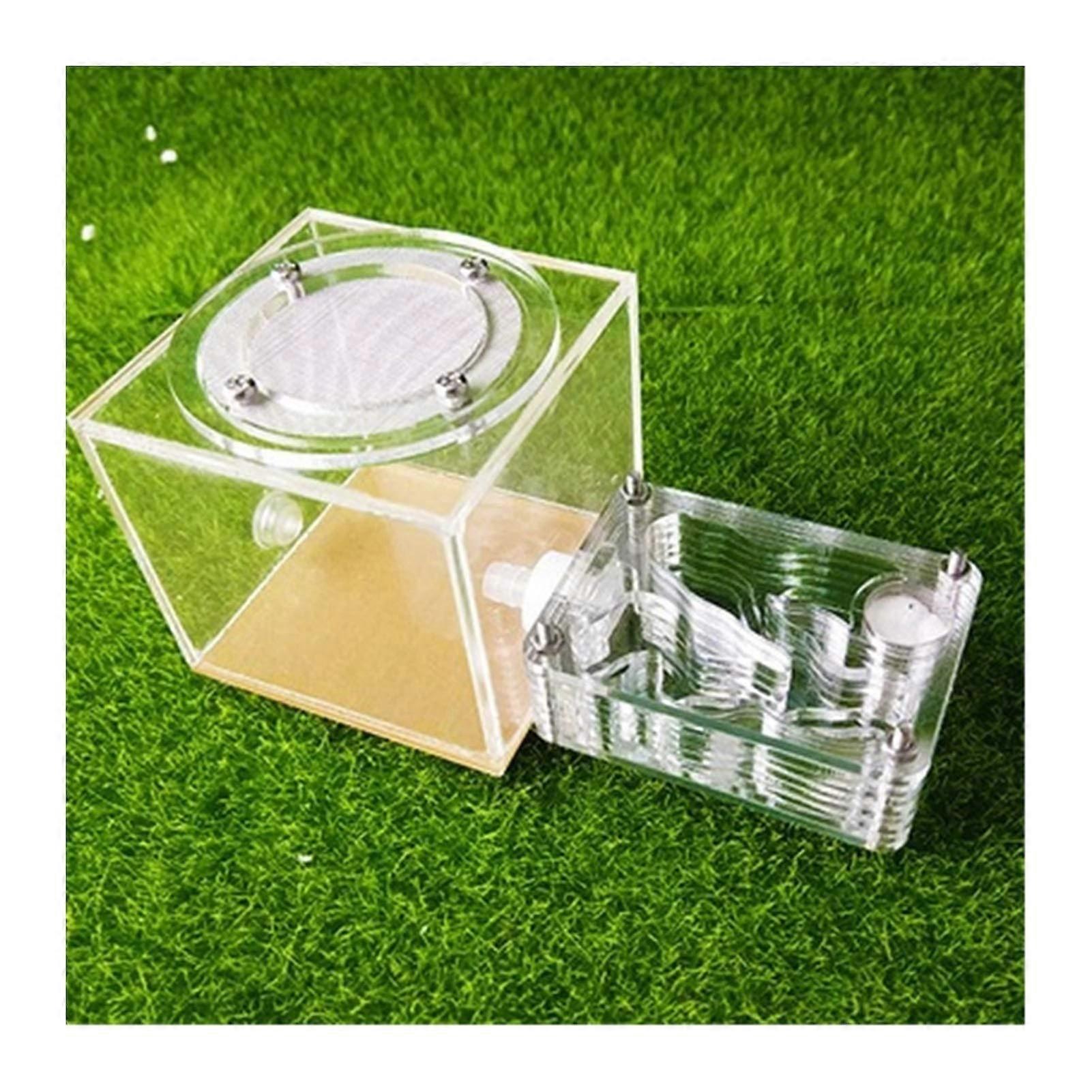 Acrylic Ant Farm with Feeding Area, Clear Observation Chamber for Study and Classroom Use