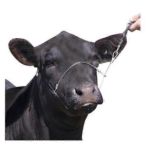 Sullivan Supply, Inc. Cable Halter Cruise Control, 1 Count