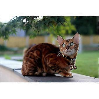 2 Extra Loud Cat &amp; Dog Bells | Pet Tracker | Save Birds &amp; Wildlife | Luxury Handmade Copper (Small) heHE