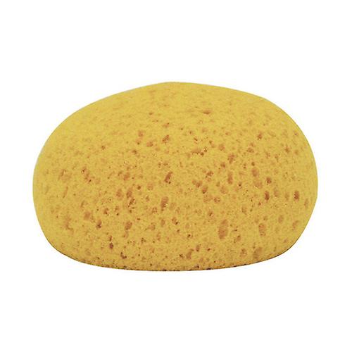 Decker Round Tack Sponge, 1 Each