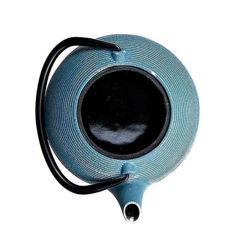 Blue Asagao Cast Iron Teapot - 0.9L