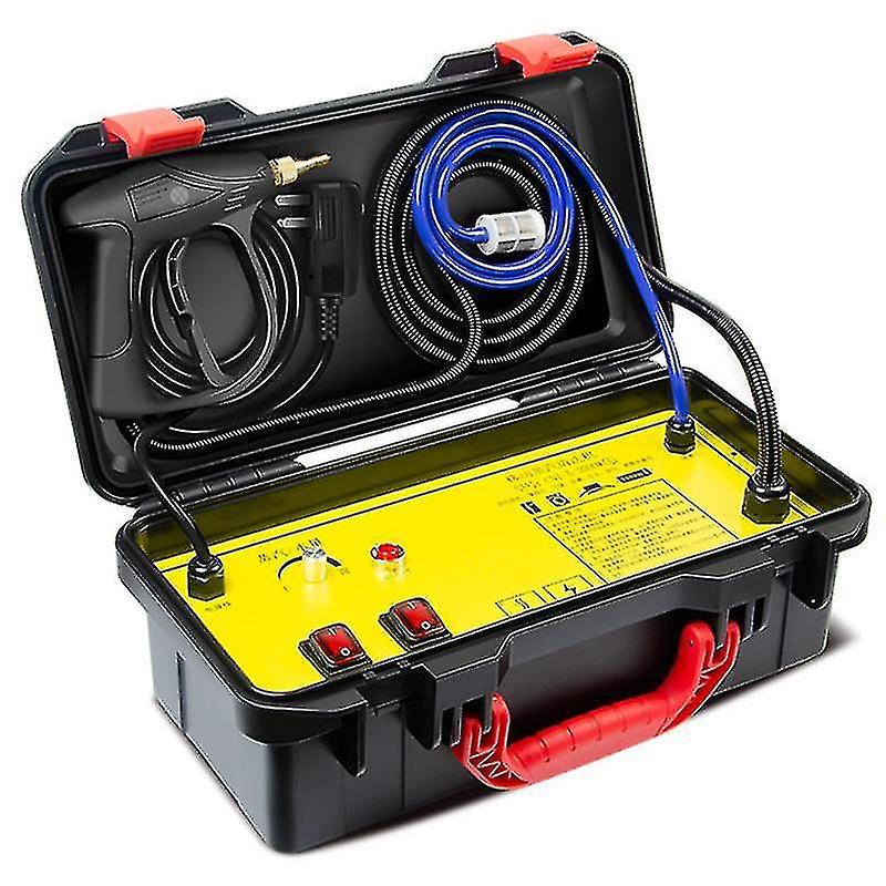 110V 220v 3000w Pulitore a vapore elettrico 4.5bar Macchina per la pulizia a vapore ad alta temperatura e pressione A