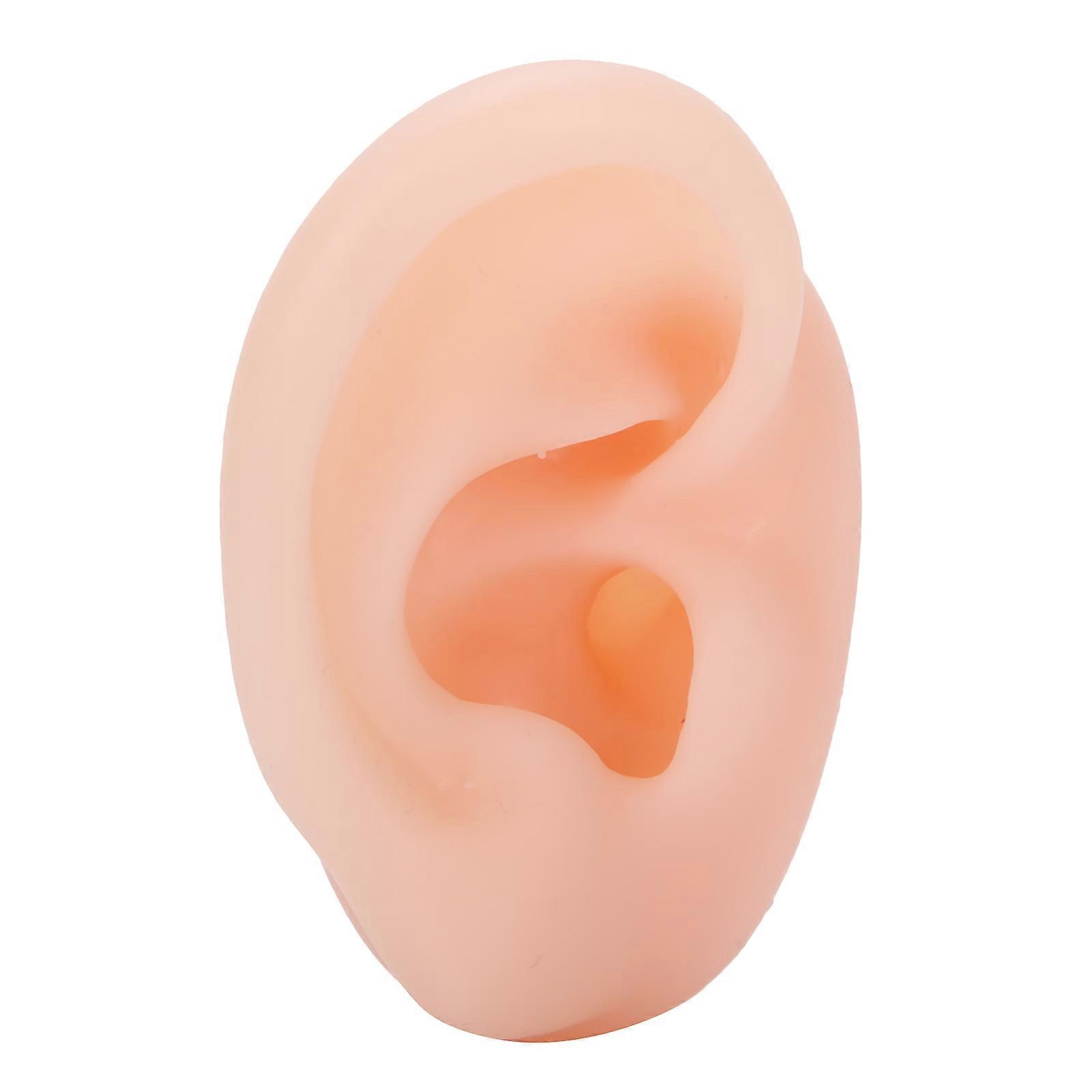 Silicone Ear Model Artificial Ear Display For Hearing Aids Wearing Demonstration (right)
