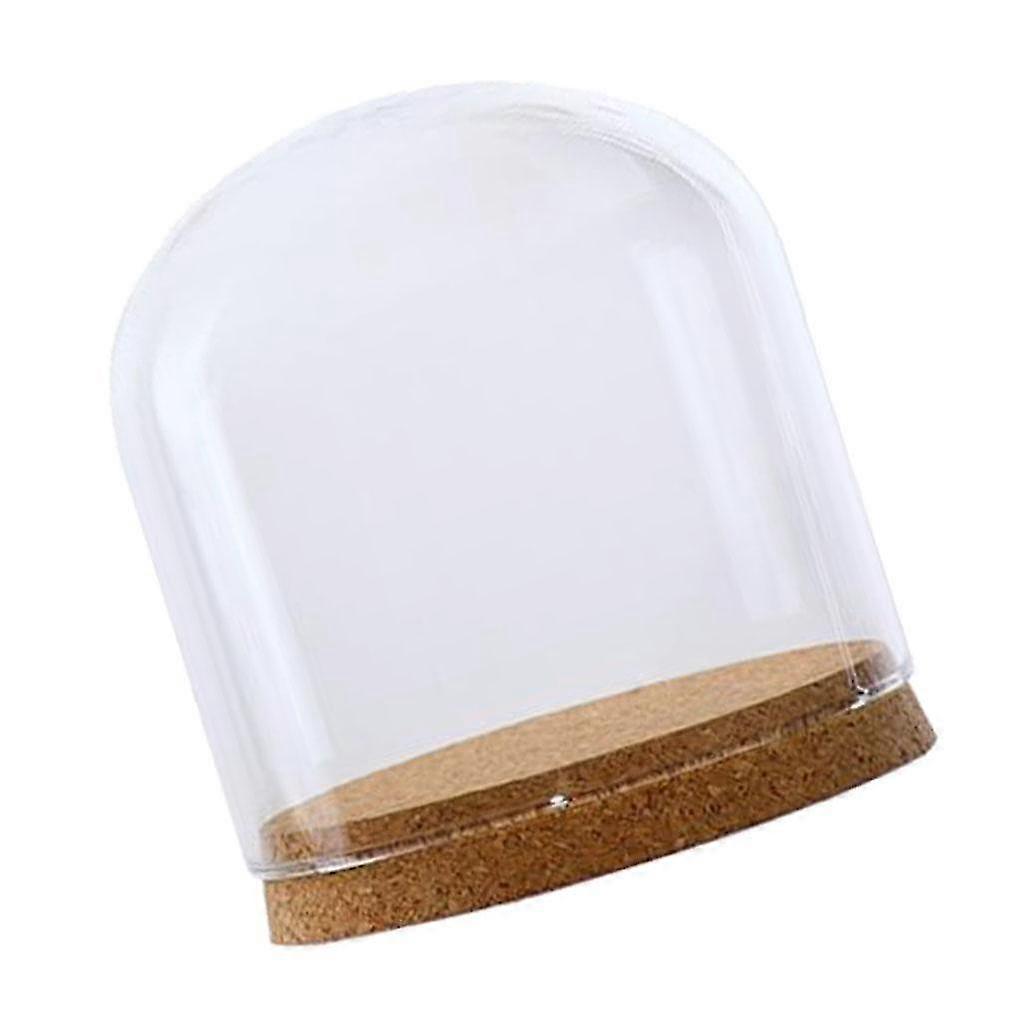 hg Cloche Jar Succulent Plants Terrariums With Wood Cork - S