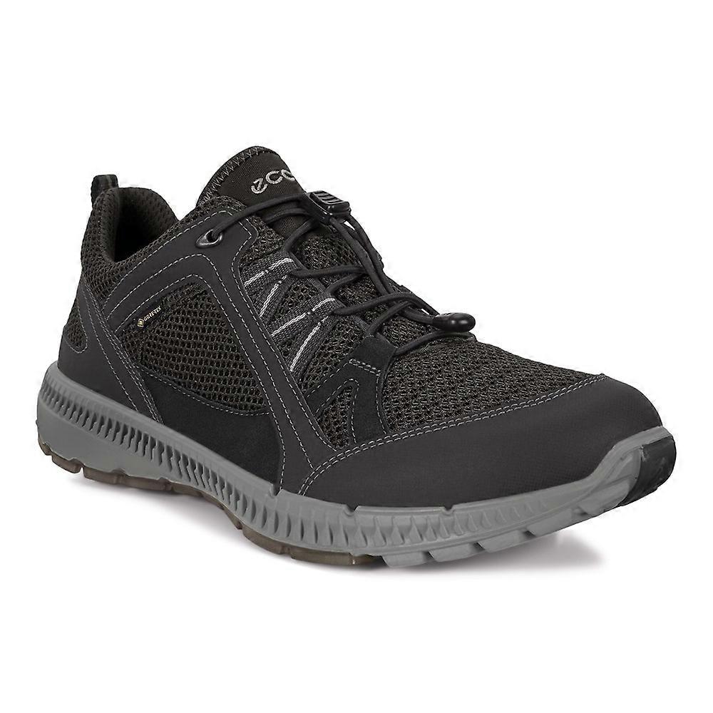 Shoes Ecco Terracruise Ll Gtx Tex 84306451052