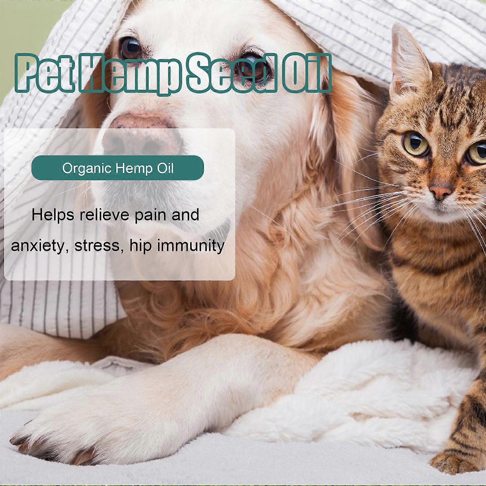 2x Pet Seed Oil for Dogs&Cats | Natural Pain and Anxiety Relief ...