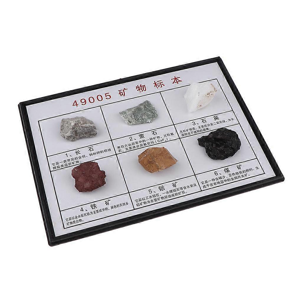 Educational Geology Science Kit, 6 Pieces Rock and Mineral Collection in Display Box