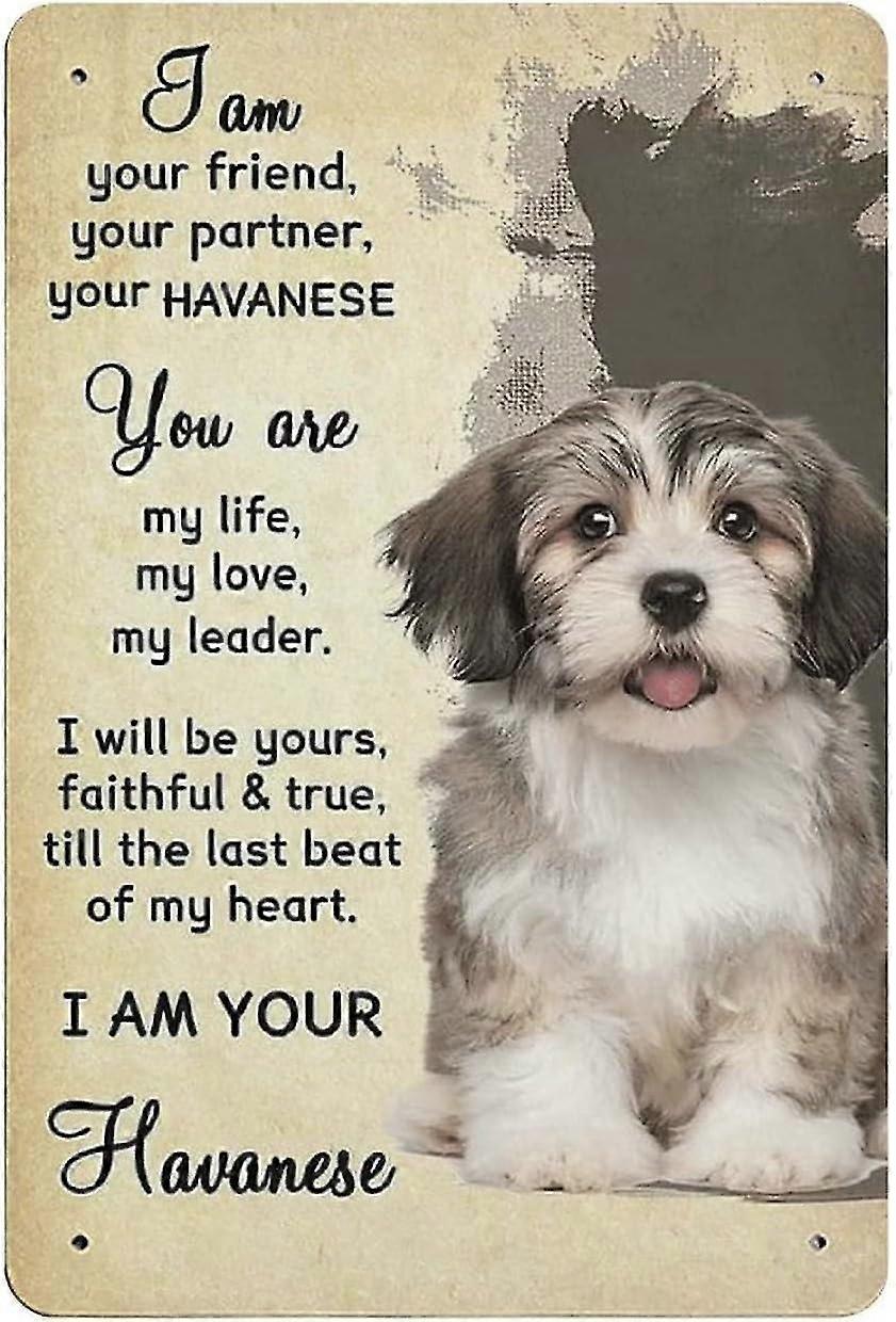 Placa de Metal Pitbull Dog Vintage Lata Poster Placa de Metal 8x12 Polegadas OU 12x16 Polegadas Modo 1721