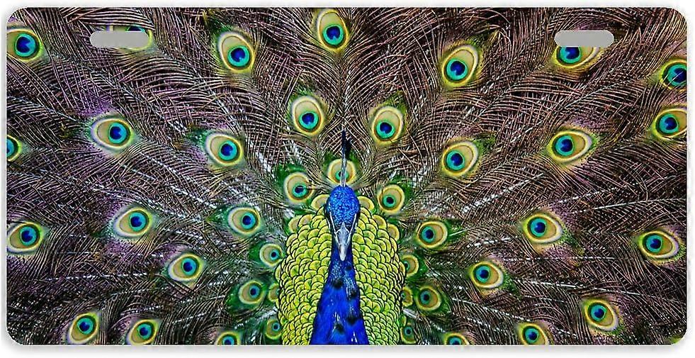 Peacock Metal Car Tag Auto Tag Nummernschild Abdeckung mit 2 Löchern 11,8 x 6,1 Zoll