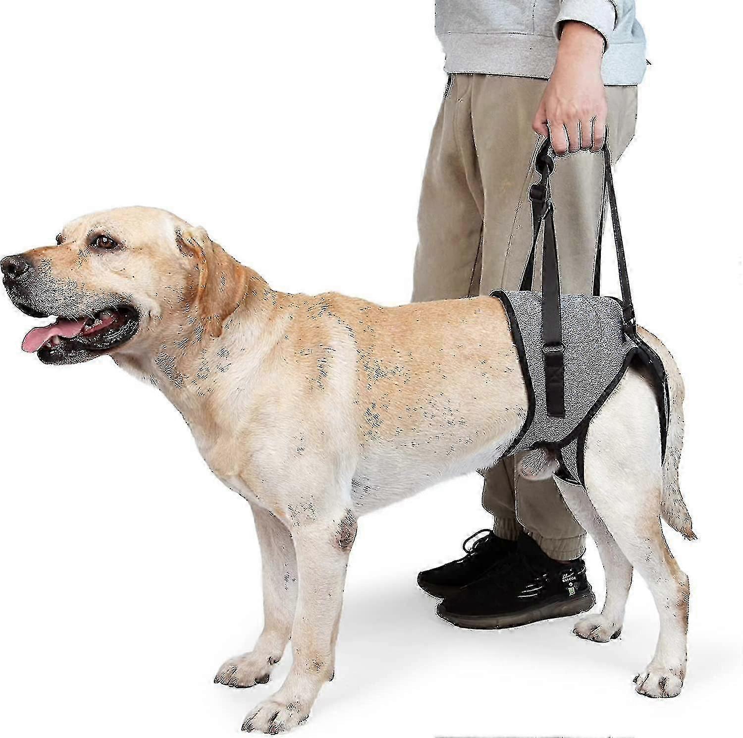 Injured Disabled Dogs Support Sling, Dog Lifting Harness for Back Legs, Soft Dog Support Aid