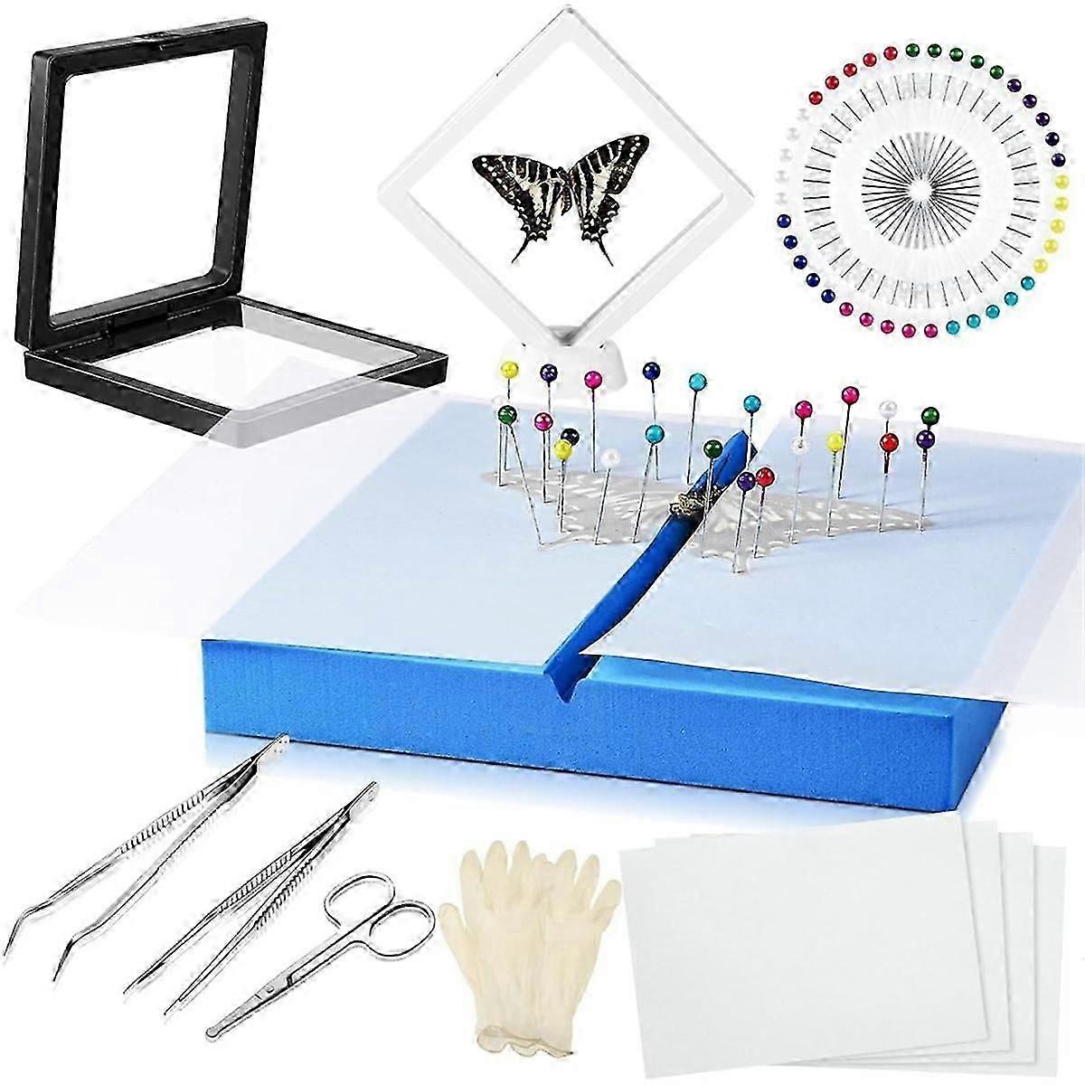 Insect Specimen Tool Kit Butterfly Specimen For Classroom Teaching Pin Wing Press Paper Tweezers Insect Display Box