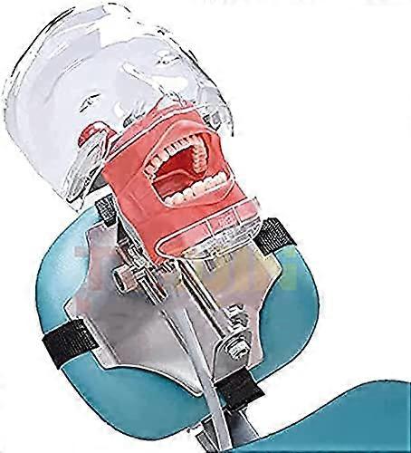 Dental Simulator Manikin Phantom Head Model - Plastic Educational Tooth Model with Bench Mount for Dental Chair Compatibility
