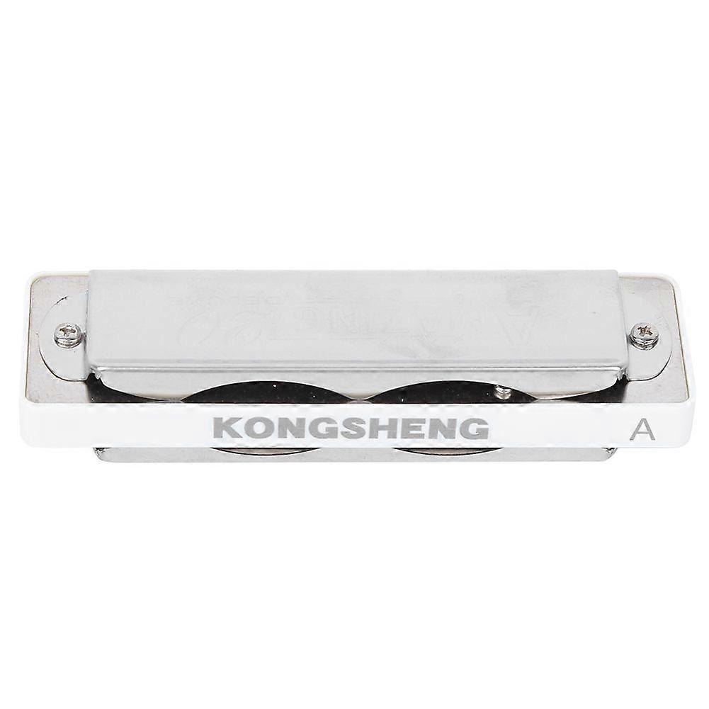 Blues Φυσαρμόνικα 10 Τρύπες Mouthorgan A Key ABS Resin Professional Beginner Wind InstrumentWhite