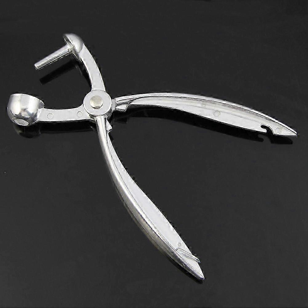 Silver Aluminum Cherry Pitter for Red Dates and Olives, Easy Removal Core Squeeze Clamp Seeder Tool 18x3.5cm