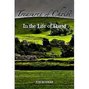 Treasures Of Christ In The Life Of David - Jon Bonker - Paperback - en Book