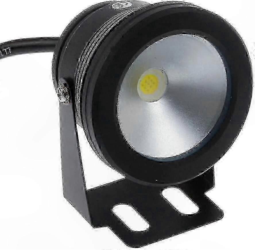Cool White IP68 Waterproof Flood Underwater Light for Pool and Pond, 10W 12V Black Spot Lighting Solution