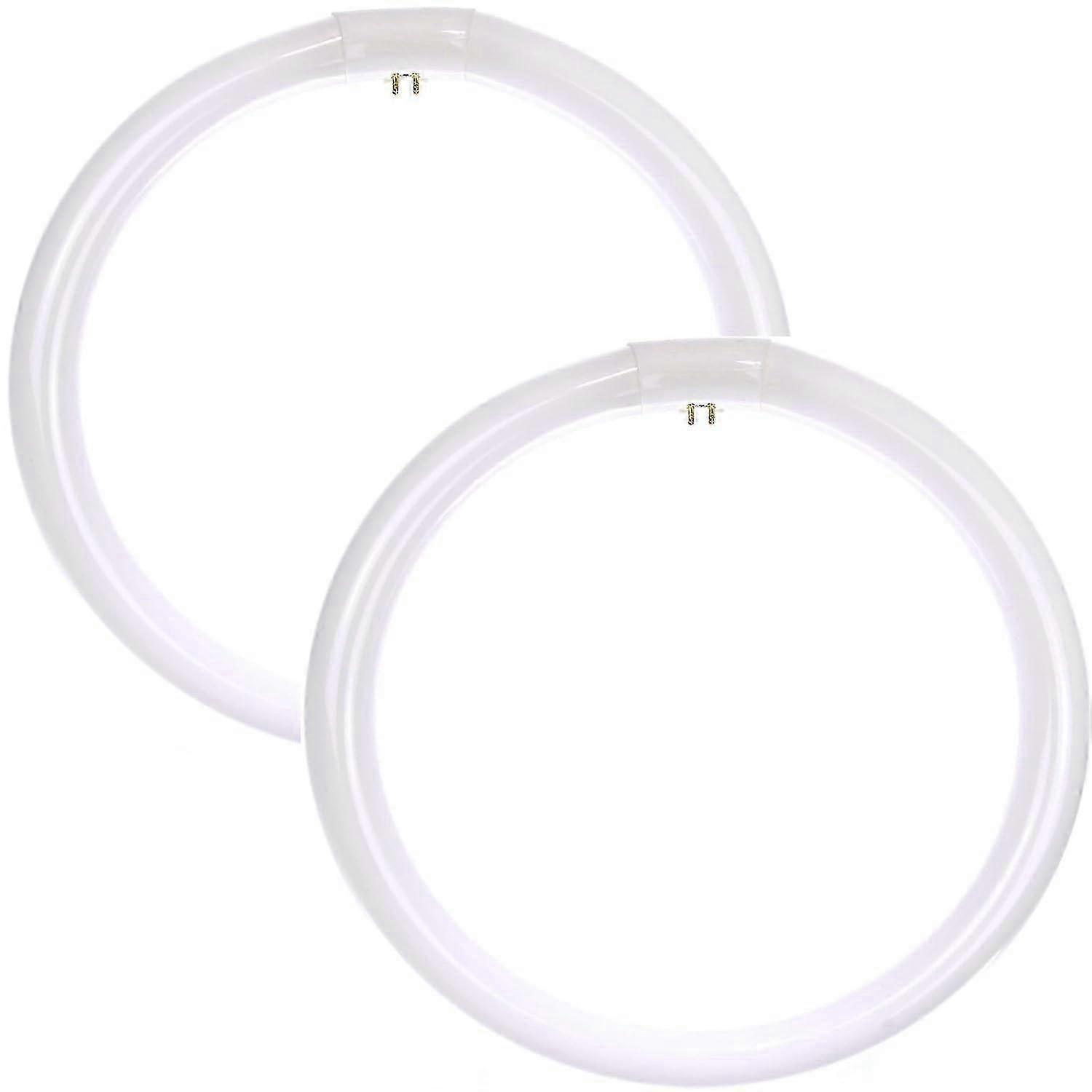 Lot de 2 ampoules fluorescentes circulaires FC16T9/CW T9, 40 W, blanc froid 4 100 K, pour plafond