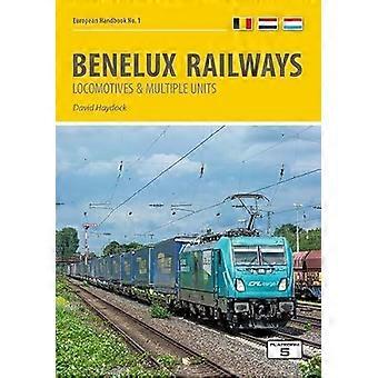 Benelux Railways Locomotives And Multiple Units 8th Edition - David Haydock