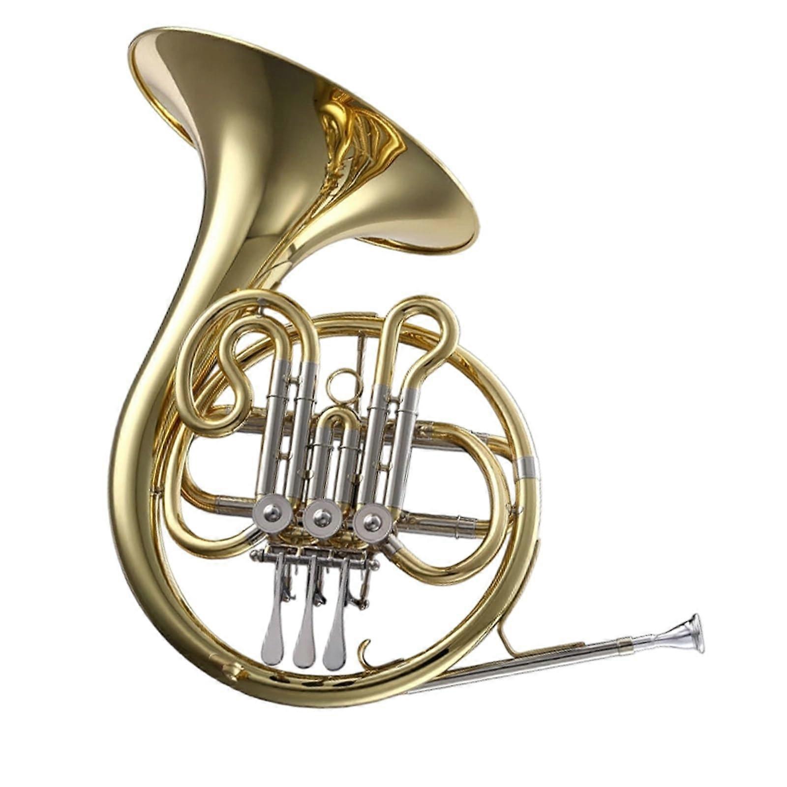 French Horn for Beginners Lightweight Design Bright Mellow Tone Durable Metal Construction