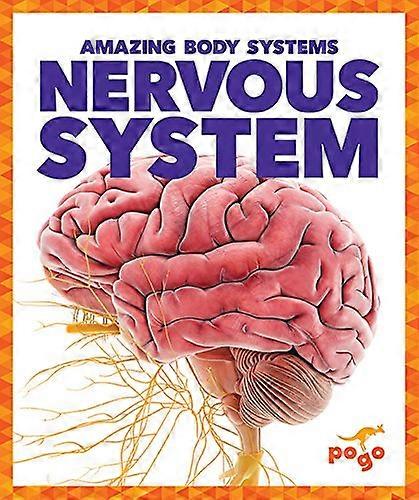 Nervous System (Amazing Body Systems)
