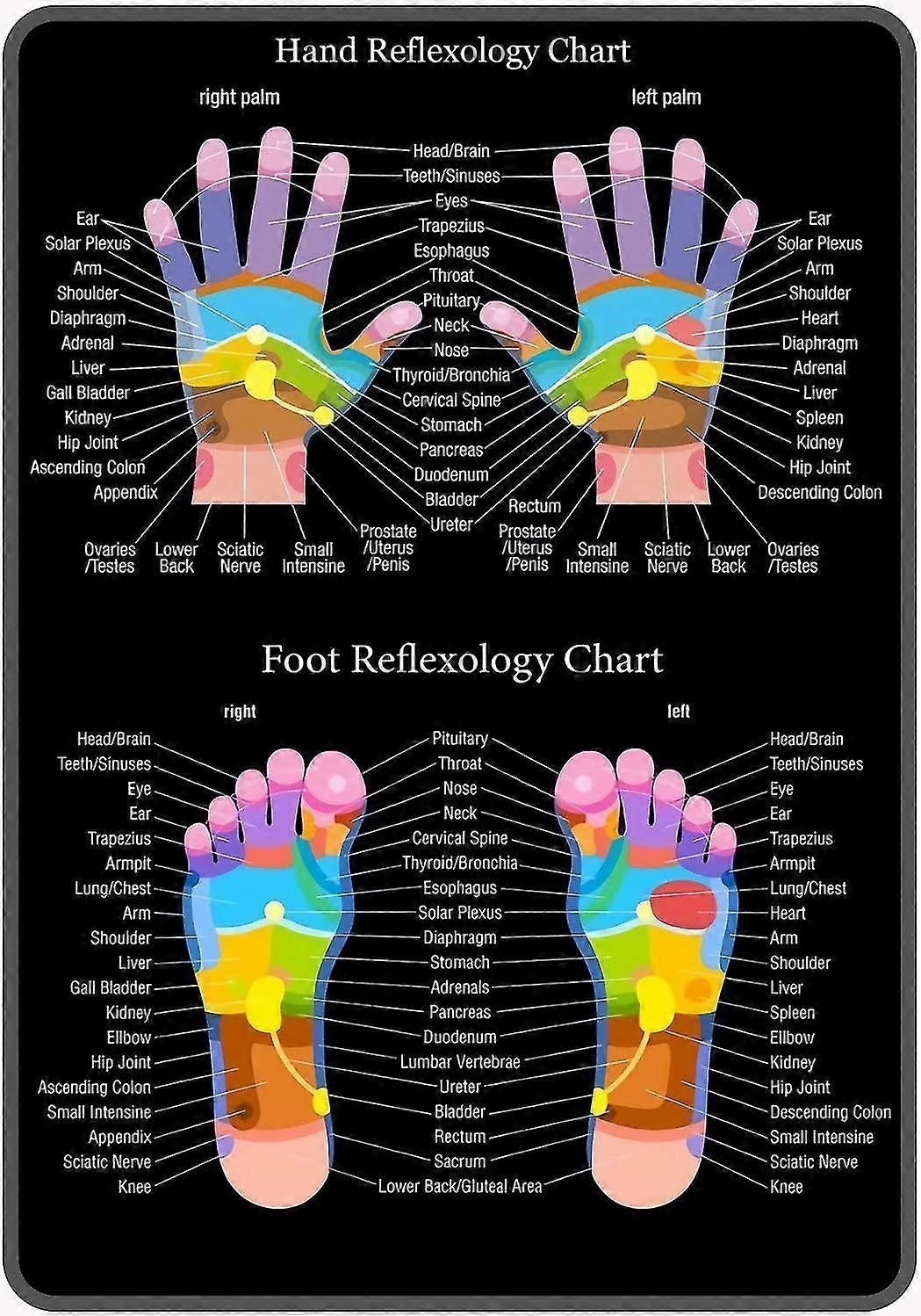 Gráfico de Reflexologia da Mão Metal Tin Sign 8x12 polegadas OU 12x16 polegadas Vintage Retro Sign Decor Para Bar da Casa