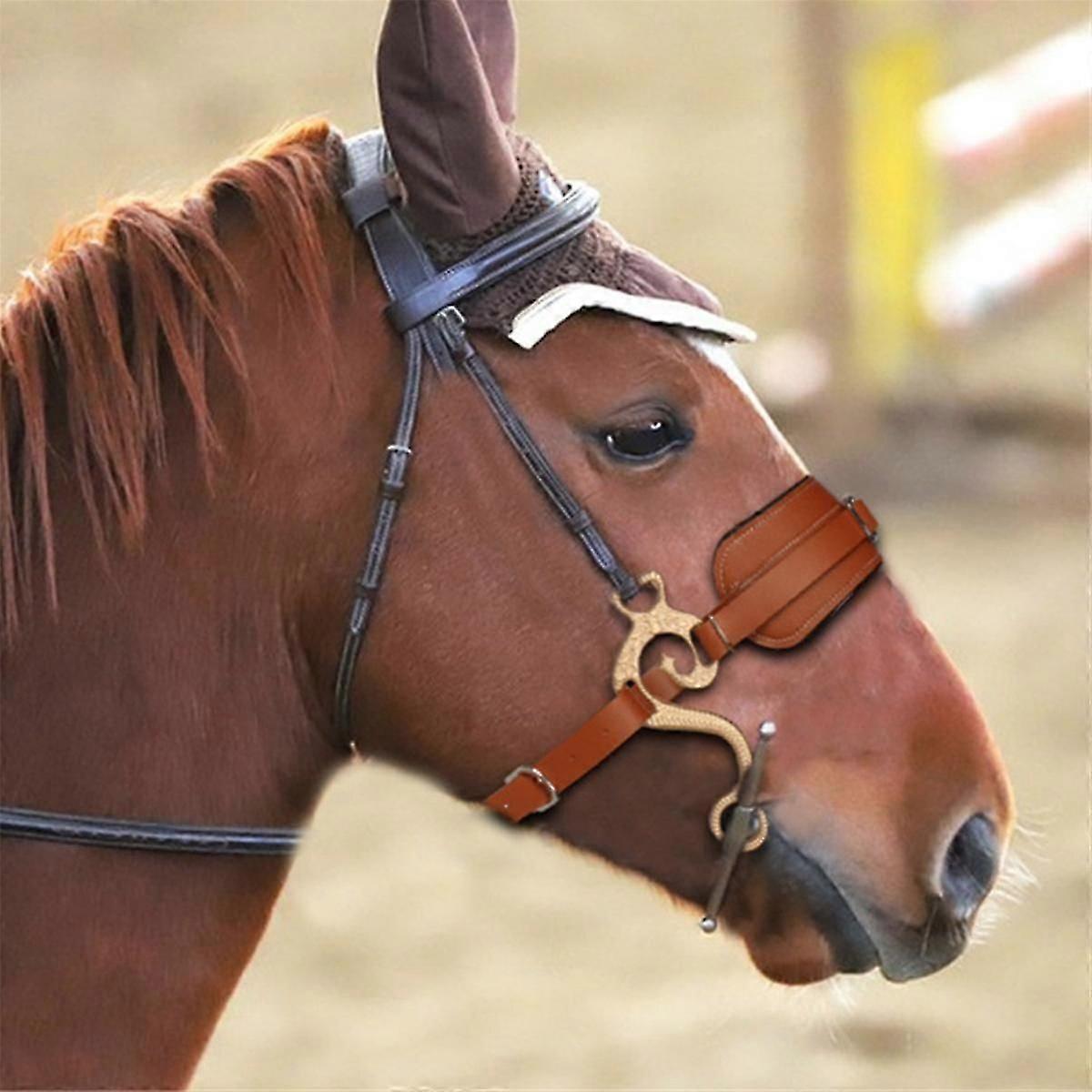 Western Horse Tack ~ Stainless Steel Curb Bit w/ Medium Port 5 Mouth
