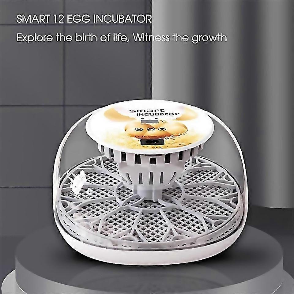 For 12 Eggs Incubator With Auto Eggturning For Hatching Chicken