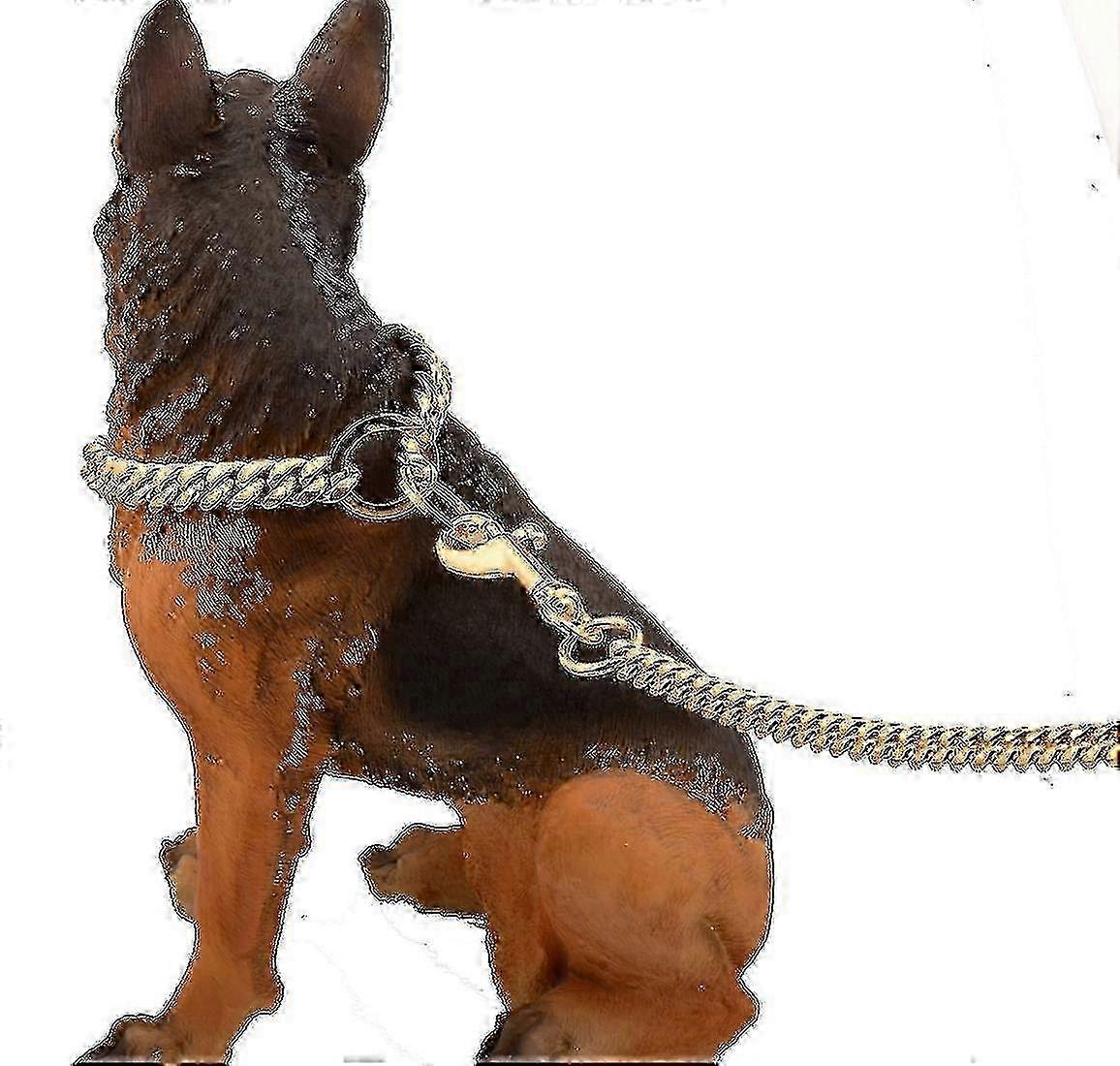 Foam-Padded 10mm Stainless Leash