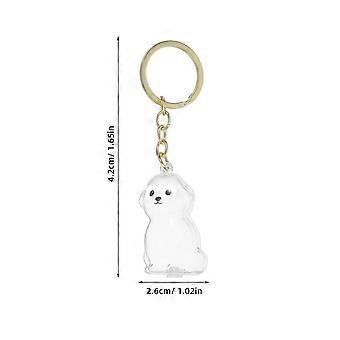 Pet Hair Commemorative Box with 4Pcs Dog Keepsake Keychains
