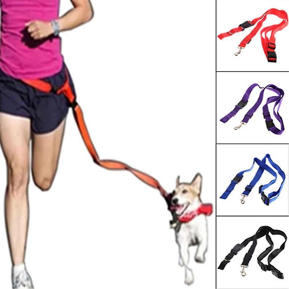 Nylon Dog Leash Rope Training Slip Lead Strap Adjustable Traction Collar