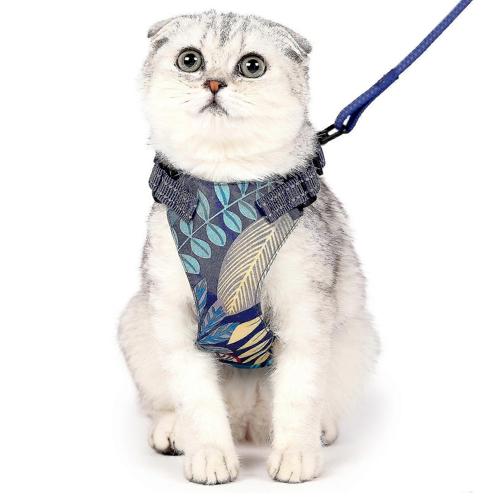 القط الجر حبل المضادة لكسر قبالة هاواي القط الصدر تسخير