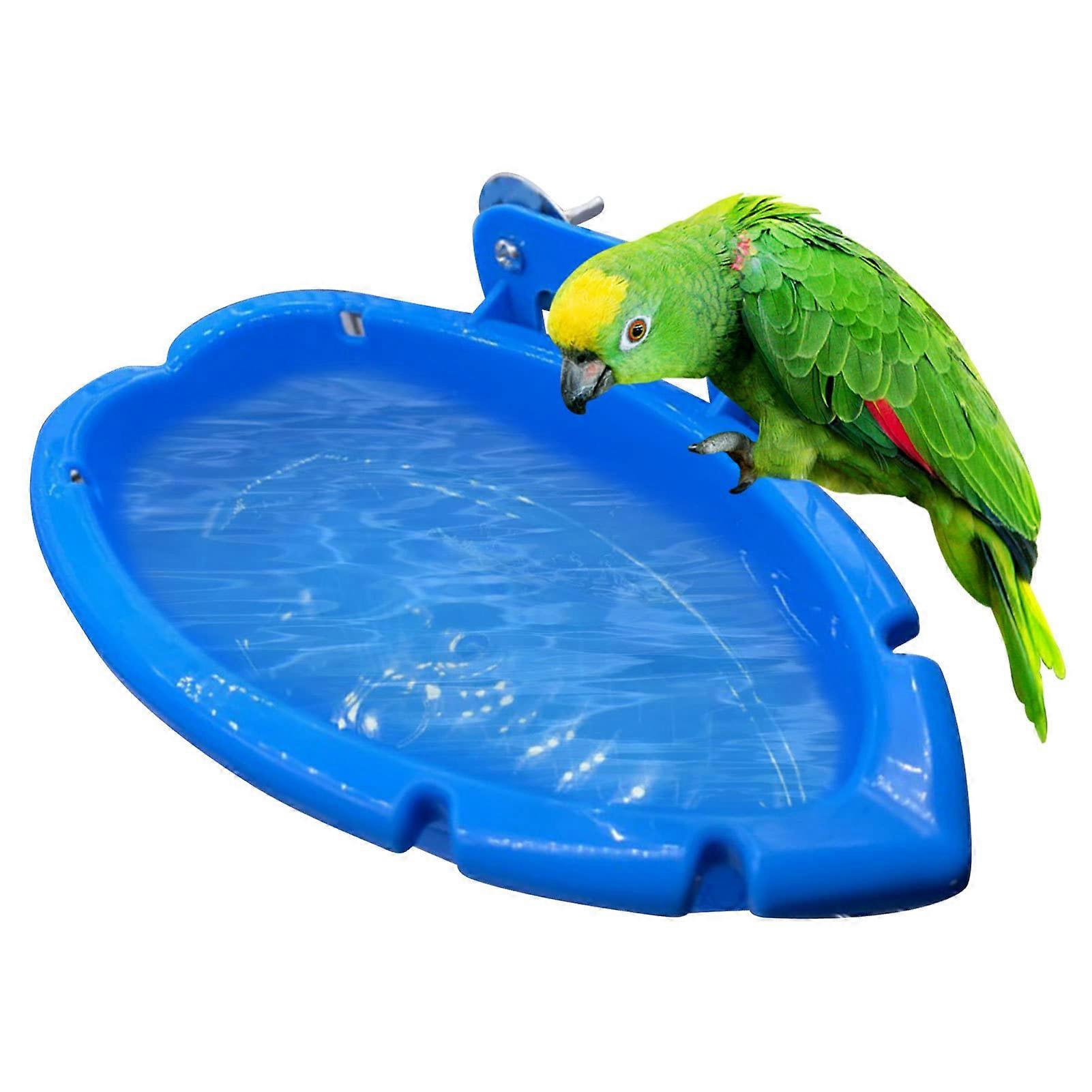 حوض حمام الطيور حوض حوض معلق Birdbath ببغاء الأليفة