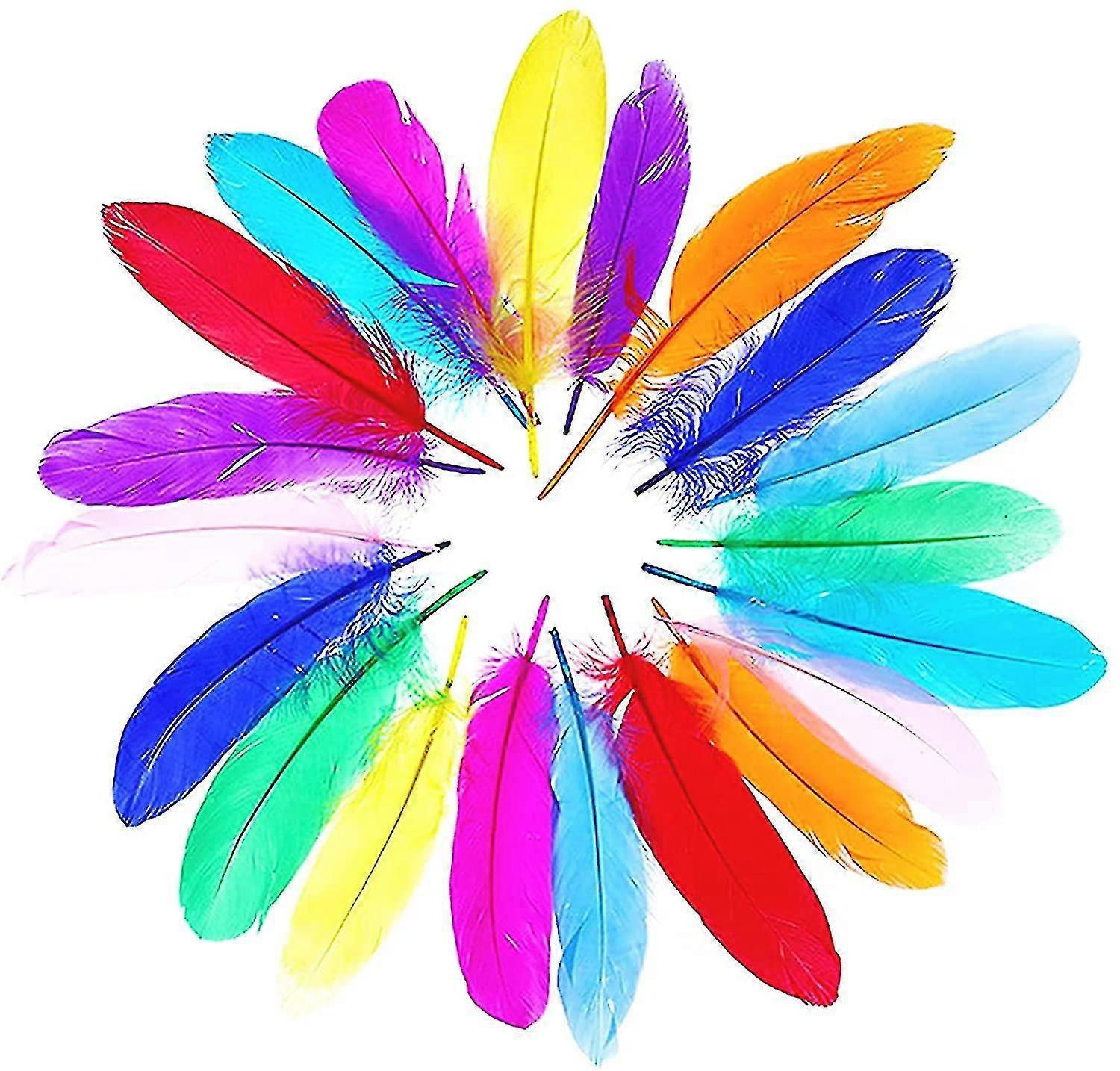 Colorful Feathers, 150 Pcs Colorful Nature Goose Feathers, Multicolor Feathers