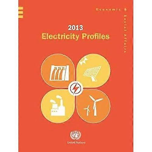 2013 Electricity Profiles