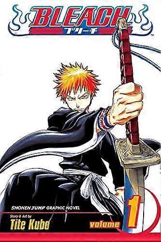Bleach Vol. 1